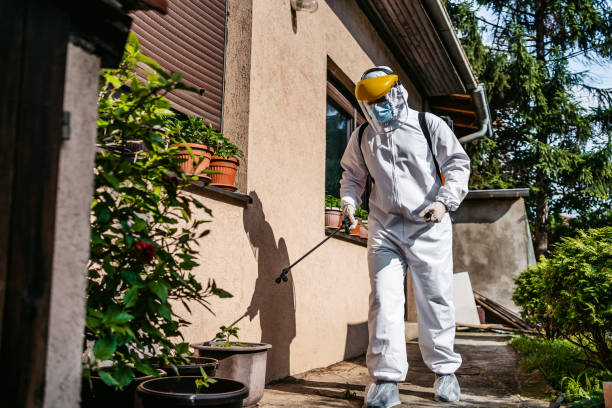 Professional Pest Control in Baldwin, GA