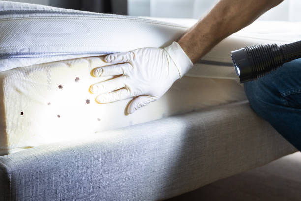 Best Local Pest Control Services  in Baldwin, GA