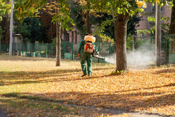 Best Pest Control Near Me in Baldwin, GA