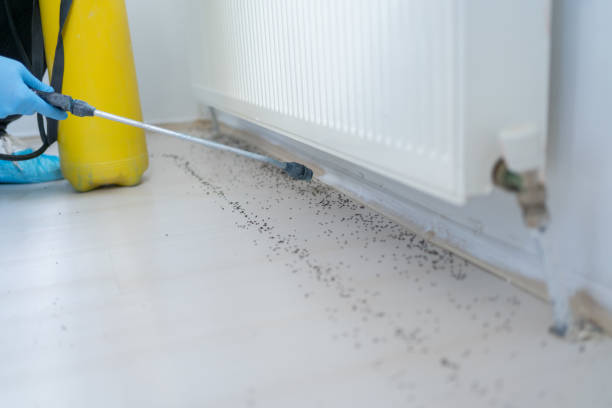 Best Affordable Pest Control Services  in Baldwin, GA